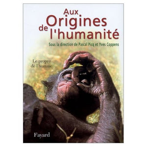 Aux origines de l'humanité, tome 2