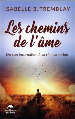 Les chemins de l'âme - De son incarnation à sa réincarnation