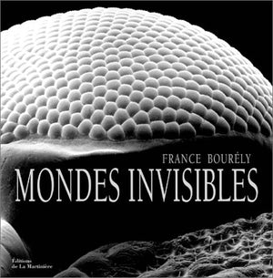 Mondes invisibles. Eloge de la beauté cachée