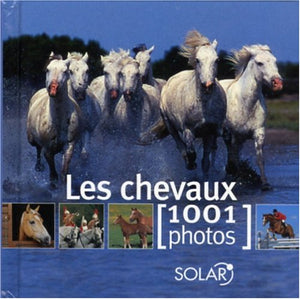 Chevaux en 1001 photos