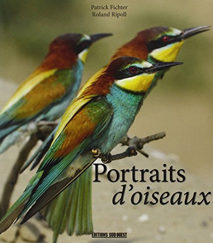 Portraits d'oiseaux