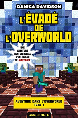 Aventure dans l'Overworld, T1 : L'Évadé de l'Overworld