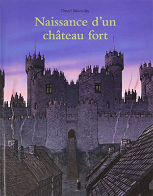 Naissance d'un château fort