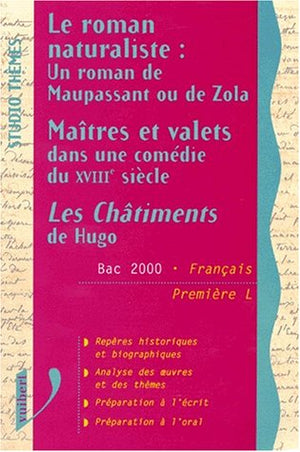 Un roman naturaliste, Maîtres et valets, Les châtiments