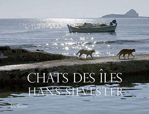 Chats des îles