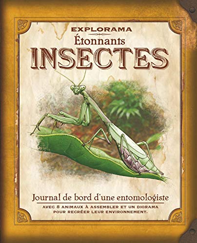 Etonnants insectes: Journal de bord d'une entomologiste