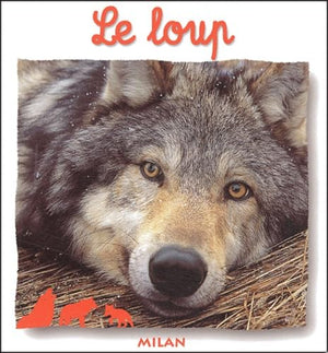 Le loup