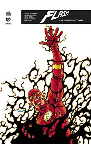 Flash Rebirth