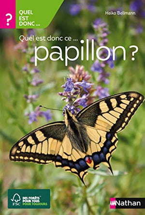 Quel est donc ce papillon ?