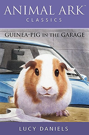 Guinea-pig in the Garage