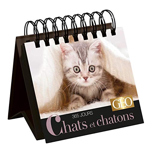 365 jours Chats et chatons - Calendrier Géo