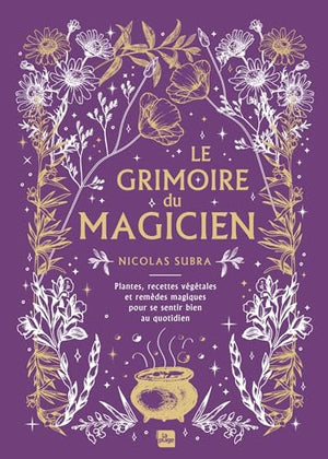 Le grimoire du magicien