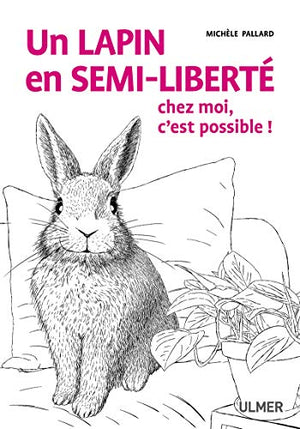 Un lapin en semi-liberté chez moi, c'est possible !