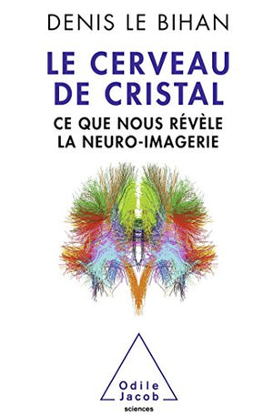 Le cerveau de cristal