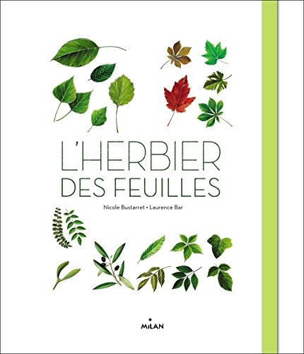 L'herbier des feuilles