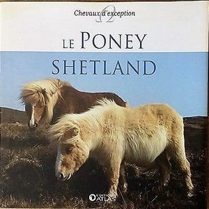 Poney Shetland (Le)