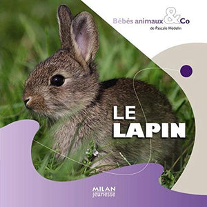 Le lapin