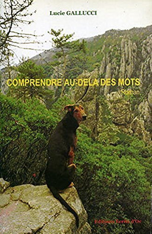 Comprendre au-delà des mots