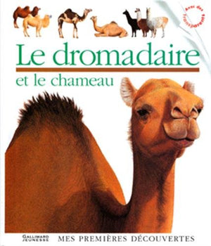 Le dromadaire et le chameau