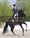 Dressage : Enseigner, Entraîner, Coacher