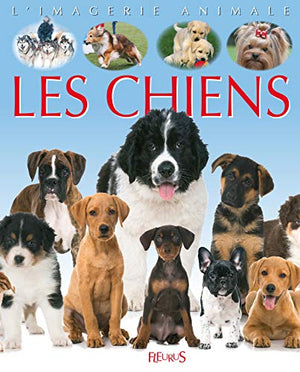 Les chiens