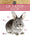 Le lapin nain