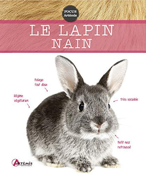 Le lapin nain