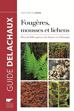 Fougères, mousses et lichens