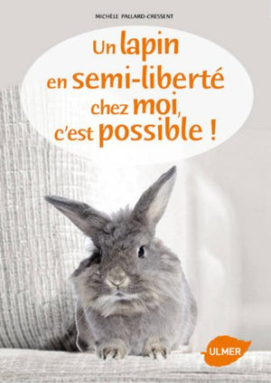 Un lapin en semi liberté chez moi c'est possible