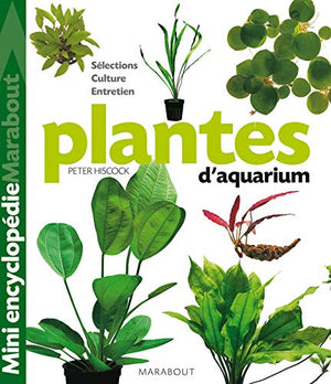 Plantes d'aquarium