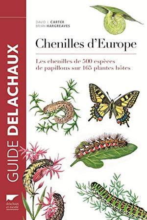 Chenilles d'Europe