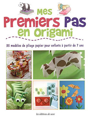 Mes premiers pas en origami