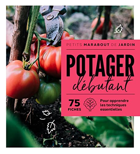 Potager débutant