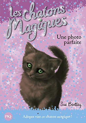 Les chatons magiques - Une photo parfaite