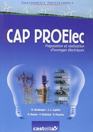 Enseignements professionnels CAP PROElec (Préparation et Réalisation d'ouvrages Electriques)