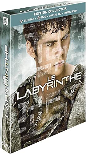 Le Labyrinthe [Édition Collector Blu-ray + DVD]