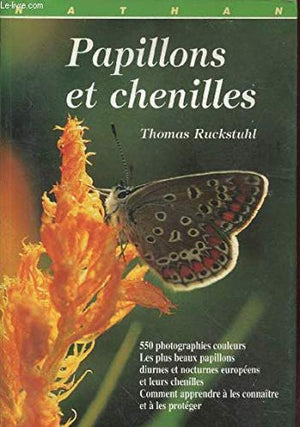 Papillons et chenilles