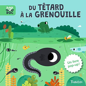 Du têtard à la grenouille - Pop up