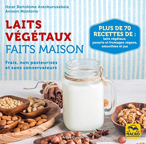 Laits végétaux faits maison