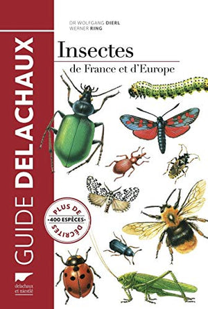 Insectes de France et d'Europe