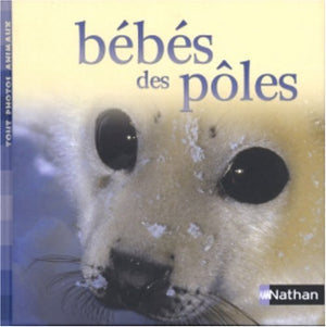 Bébés des pôles