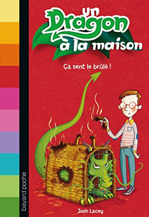 Un dragon à la maison, Tome 01: Ça sent le brûlé !