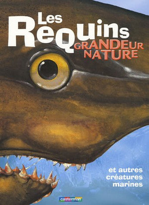 Les requins grandeur nature