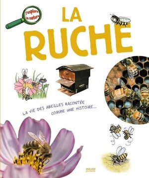 La ruche