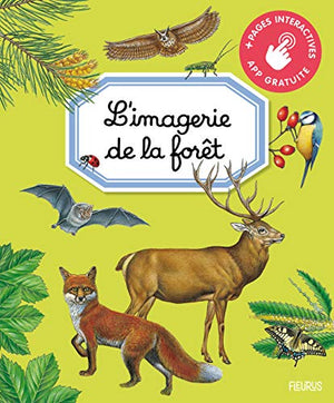 L'imagerie de la forêt