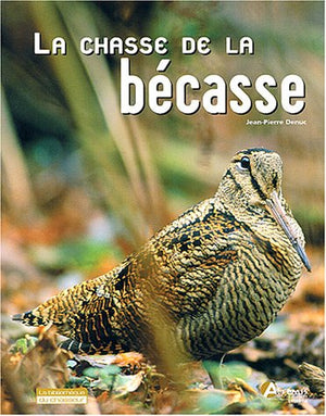 La chasse de la bécasse