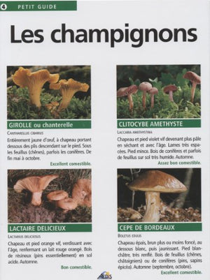 LES CHAMPIGNONS