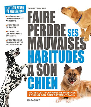 Faire perdre ses mauvaises habitudes à son chien