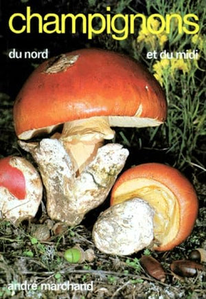 Champignons du Nord et du Midi