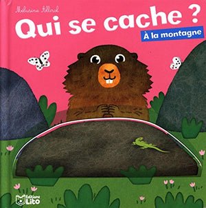 Qui se cache?: A la montagne